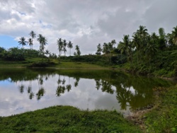 e0bc8d0e-88fe-4518-814e-09eb3550d3a9