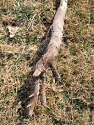 ff635100-ce3e-4a3b-9993-a54e97e50755