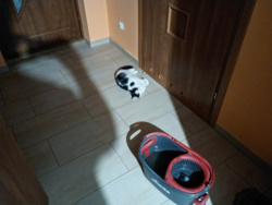 2c0c299d-dbfe-4ce6-b6bf-77e3b30ae366