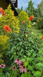 02b2d4bf-7475-498e-a5a4-51fd84c198d5