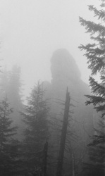 cef9f62f-838a-42eb-b5a6-d2506f2e48e6