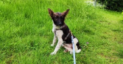 17f410ff-ad08-42f0-8acf-ec7731dd7374