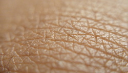 Grzyby żyjące na ludzkiej skórze mogą być źródłem nowych antybiotyków