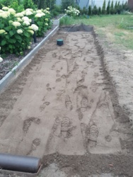 2d2e6f8d-8726-4159-9052-2da8d3aec29c