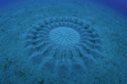 e25613e6-4425-4c4e-90dc-bbc31c0dc556