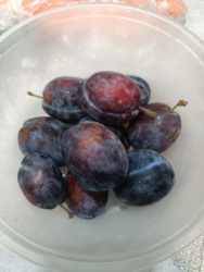 1b5ea619-1517-4f13-b9fe-149a629e74a1