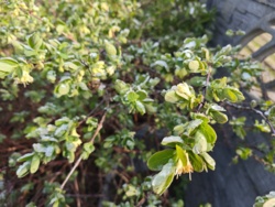 a788ae0c-14b8-44a4-b1ba-9fa9b690be62