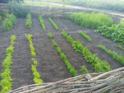 27bf817e-f4d5-48dd-ad33-613462cb0d1d