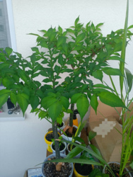 7072ab65-c36f-463f-a821-28aea50ec2e1