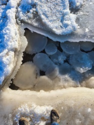 fdc14e9c-15cb-4cae-8fba-f7bd48f8dcd0