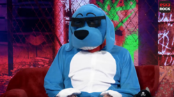 Malcolm XD: kim jest twórca Fanatyka, Emigracji i Edukacji? | Mellina