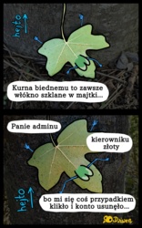 f35f20f9-b5b9-4e29-9eaf-9c4d2b6e19ff