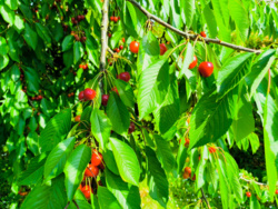 bd315668-2d89-4ab8-bcf5-beac63170241