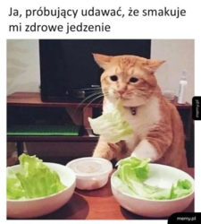 a8262dde-c525-406d-86d9-88c602e0e03b