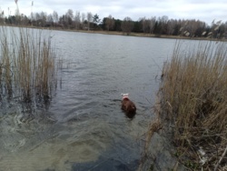 f42a8bae-0960-4f80-9770-2ad1c86457da