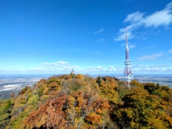 d3b4f276-17fc-4f50-8cd1-20ca40cb332f