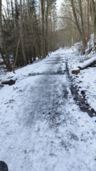 c565dee8-2161-408c-b630-3a4480c44a91