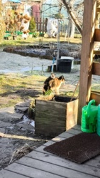 72c116f3-5a37-4240-9a1f-c61657b84aa3