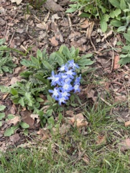 c358b34f-8954-42d3-96b7-e1caf17c0de1