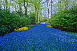 cd370349-8285-478b-a614-608f49b191ed