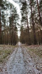 3beb256b-4cc3-4ec3-b62f-3fc4042b07db