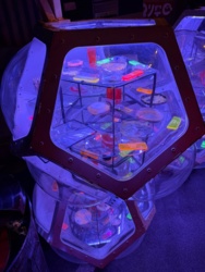 e70bf655-b039-4262-9377-b5afe380f490