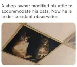 11bb6b9c-6c92-49ac-a840-b7ca6ae2277b