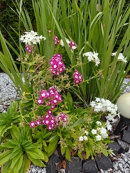 6075f305-dd45-4289-983d-d3cb40c37f11