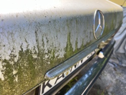 9e80851b-a774-47df-89db-688f5800ea99