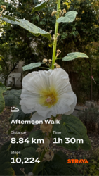 4c561d6e-c3e5-4103-811e-eec61aaddc18