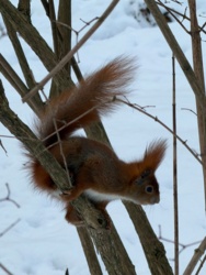 690ea8c6-35d9-4c93-8a29-27535657054c