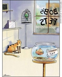 7607f8e9-3332-4f65-87b2-4cb7fc2c217b