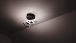 c7836b18-7fec-461c-8827-89c56daf882d