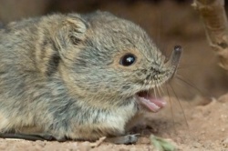 97ea6789-286a-475f-bbc5-23126d572600