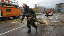 PSP: Ponad pół tysiąca interwencji po wichurach w Polsce. Jedna osoba zginęła