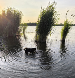 13c144d0-1be4-4b89-af89-68cebd1a027c