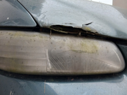 ce3a181c-a50f-48ed-9af6-ea8a525ed841