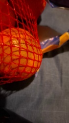 7d31338d-296d-4b98-9173-e23cf25cd1c4