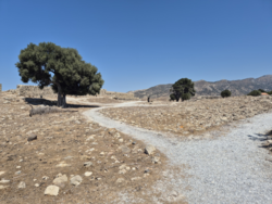 d3f4fd7b-2646-4ee8-a0f0-373a150dd7c4