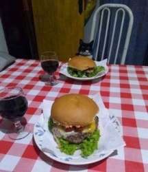 40ce6f09-1f8b-4a7d-bc8d-9723ebecc447