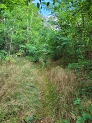 b01123af-73ad-4824-88f8-b4a8a34aa6a2