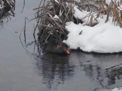 84ac3b56-e357-4b62-a0ab-59e3ad56c6d7