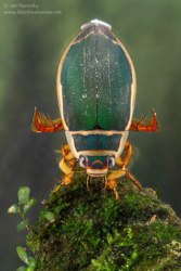 fb4485bd-243d-4876-a674-ad087525f5c4