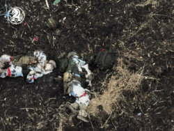 68acbcbe-132d-4289-a19e-1c0b2cb412ed