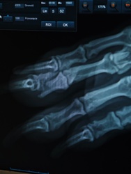 86fe5fa9-8a9c-457e-bf8a-5f5dcfdd8f09