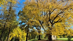 160680a1-38f1-4a75-8a9c-942286c40ceb