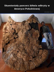 eb8e454b-b4a8-459c-bcdb-663f8674249c