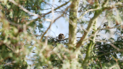 c70577ae-6e6e-4d6e-a804-641daa2c8d99