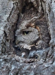 f68eb973-9e6b-4da1-a015-89741f0d5402