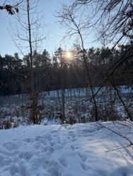 6f1043ac-d7c3-4254-8321-f5cdeb3bc622